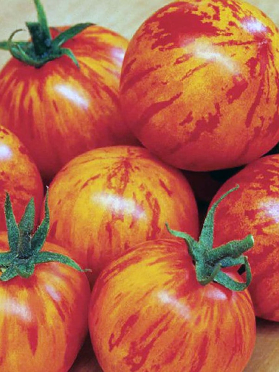 Tomato Seeds Amur Tiger Vegatables Seeds From Ukraine Etsy