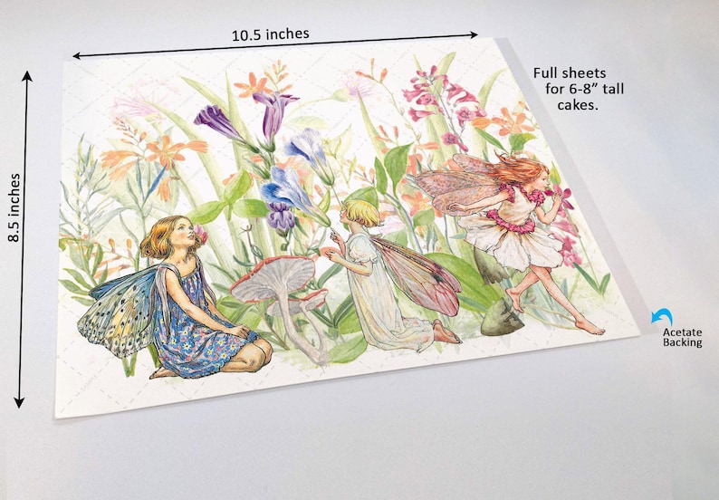 Flower Fairies Cake Wrap Whimsical Fairy Garden Edible Image Hand-Painted Floral Vintage Botanical Enchanted Forest Birthday Decorations immagine 9