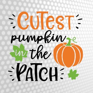 May include: A graphic design featuring the orange text "CUTEST" above the black text "pumpkin in the" and the large black text "PATCH". An orange pumpkin with a green stem and two green maple leaves are included in the composition.