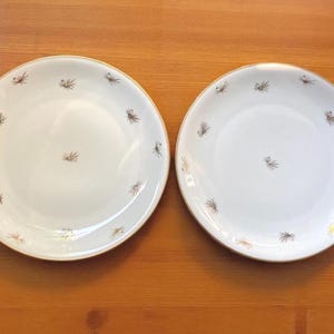 Peut inclure: Deux assiettes rondes en céramique blanche avec un bord doré et un motif répété de motifs floraux stylisés dorés et bruns. Elles reposent sur une surface en bois.