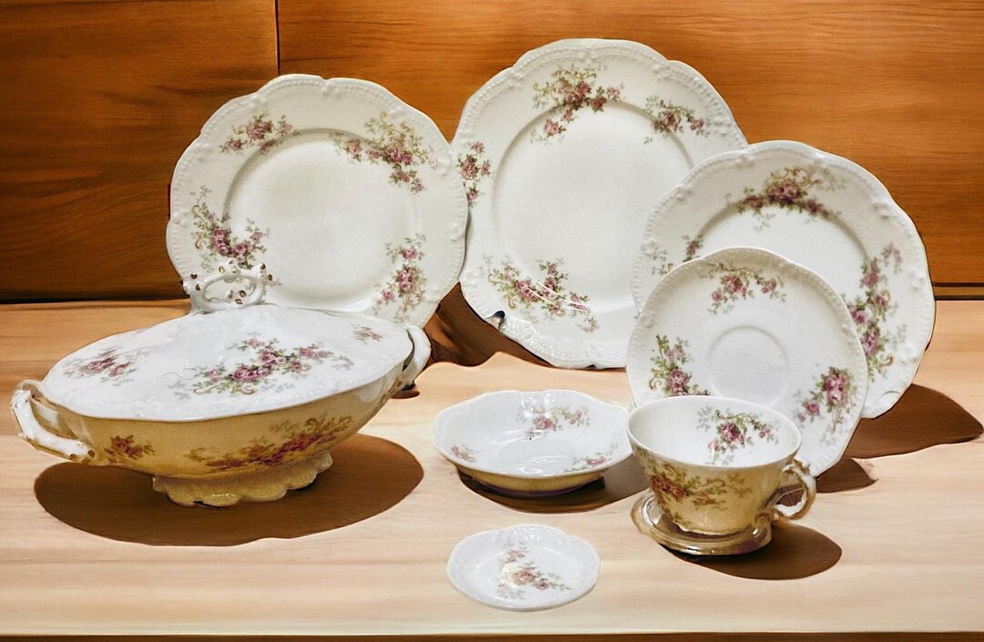 ANTIQUE DINNERWARE PATTERNS visual data 2