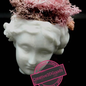 May include: White plaster bust of a woman with a pink and brown moss planter on top of her head. The bust is sitting on a black surface. The image has a pink stamp that says "Checked Creative3DGoods Checked"