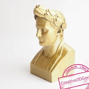 Napoleon Bonaparte bust 3d printed