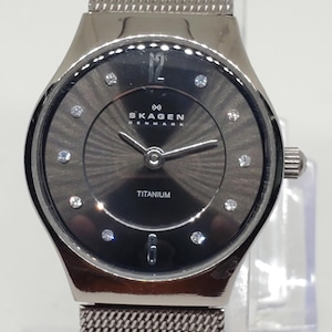 Skagen Titanium Watch - Etsy display picture 1