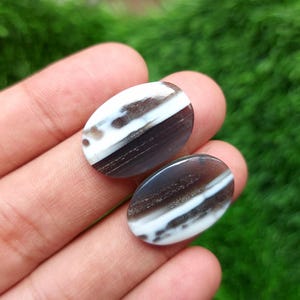 May include: Two oval-shaped gemstones with a layered design of white, brown, and gray. The stones are held in a hand against a backdrop of green grass. The gemstones have a polished, glossy finish.