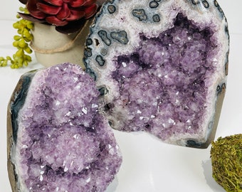 Large Uruguay Lavender Amethyst Cluster, Raw Amethyst Geode, Amethyst Cut Base, Amethyst Cathedral, Metaphysical Amethyst Crystal Home Decor