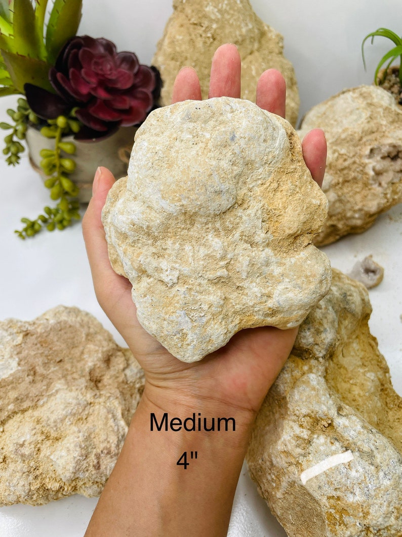 Break Your Own Geode unopened Geode quartz Geode Crystal Etsy