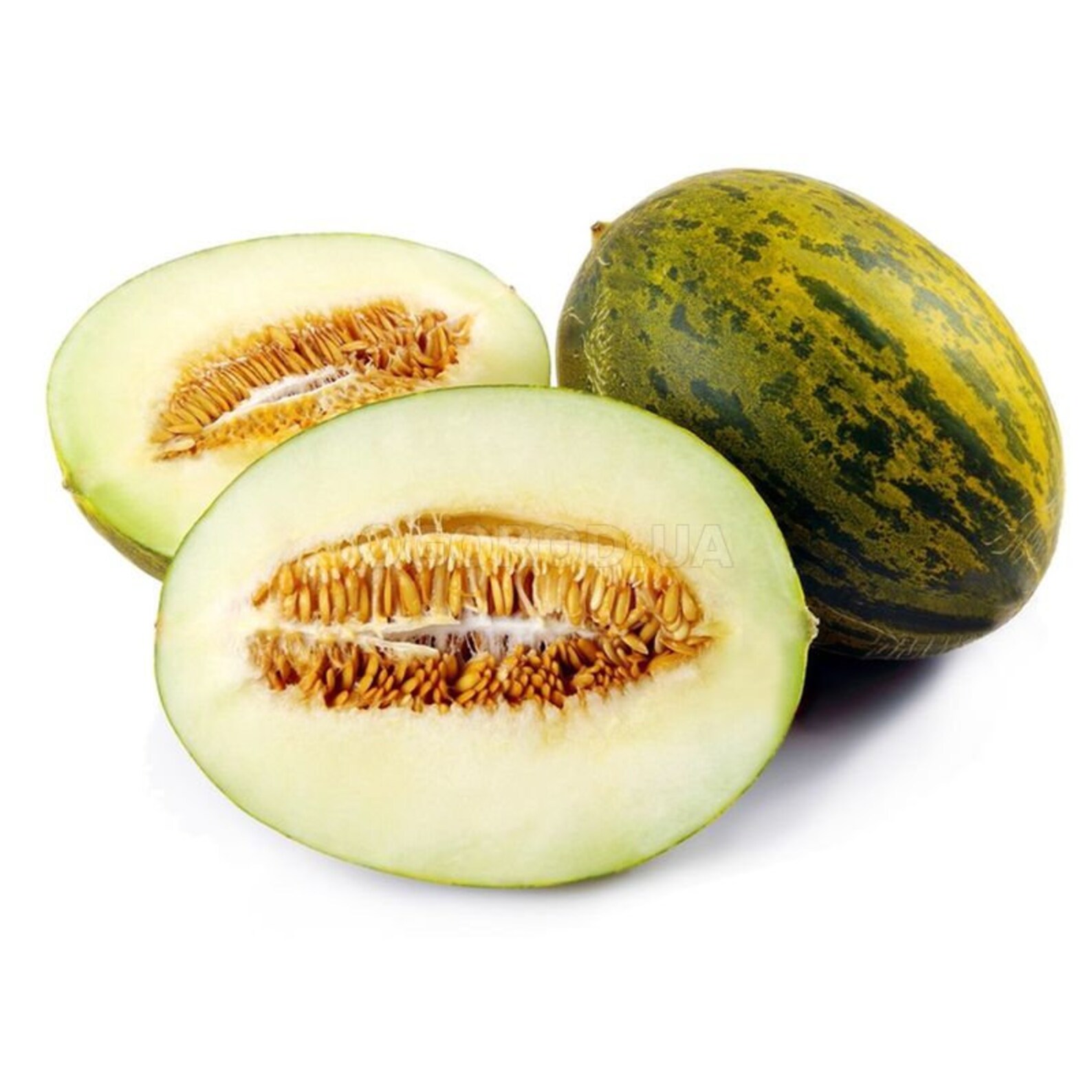 Fragrant Piel de Sapo Melon 10 fresh seeds aka Christmas Etsy