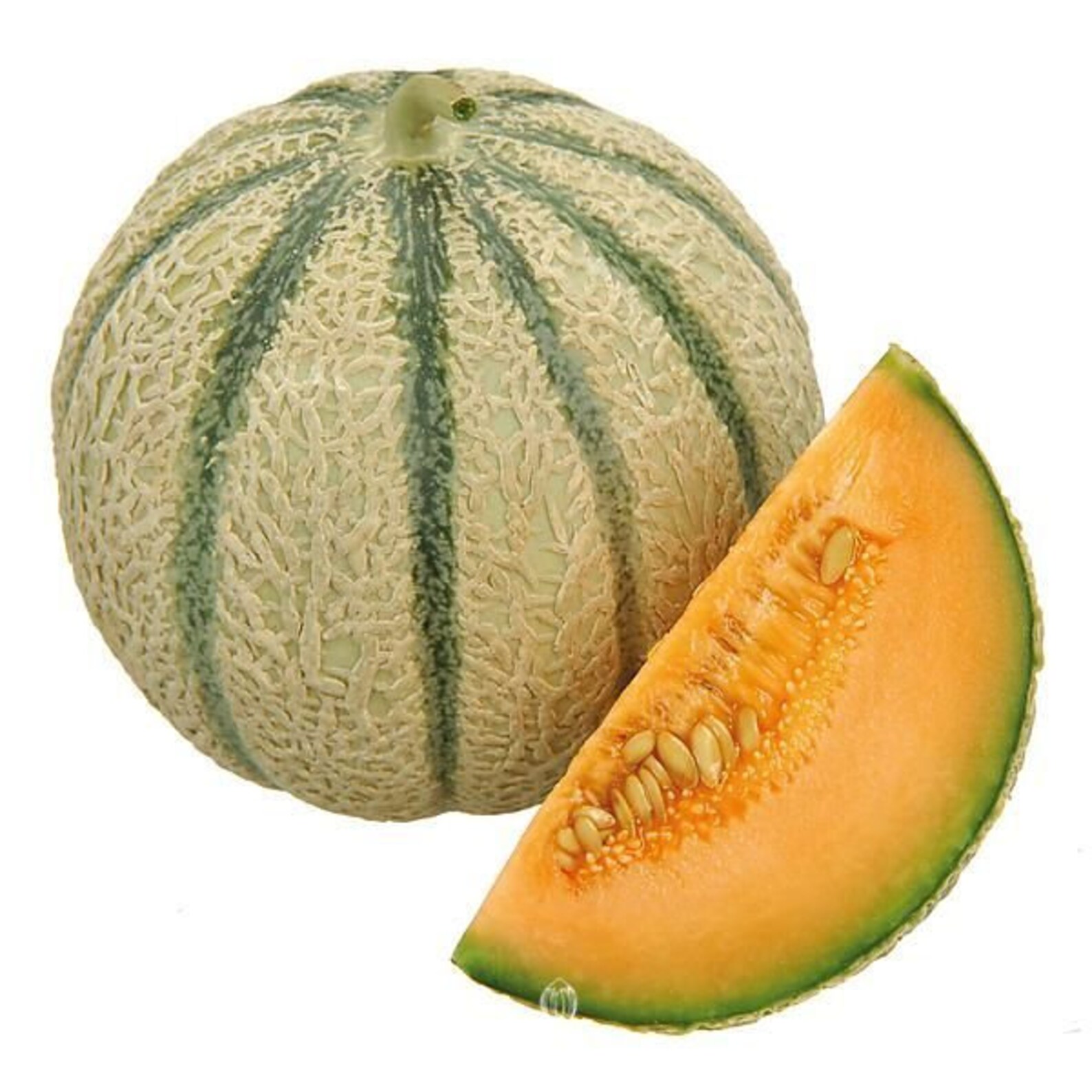 Charente Melon 10 PCS fresh seeds Charentais Cucumis melo Etsy