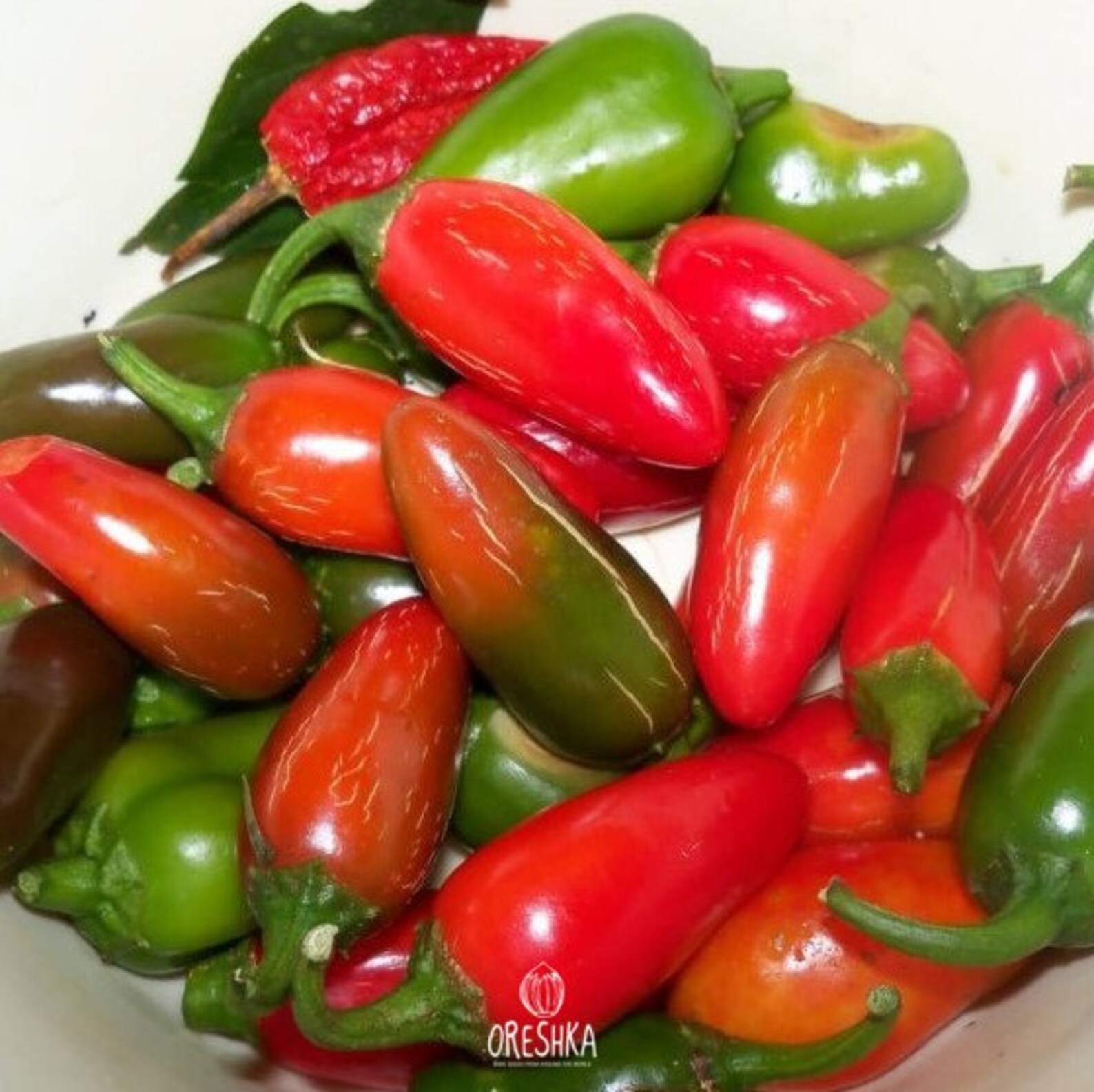 Pepper Jalapeno Organic 10 fresh Seeds. Hot chilly pepper Etsy