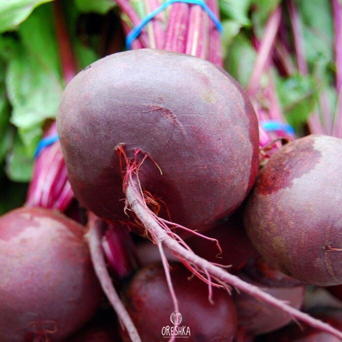 mid dark beetroot