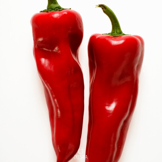 Sweet Spanish pepper 20 PCS fresh seeds Piper Etsy