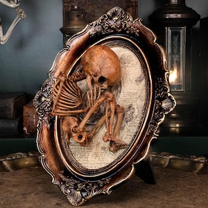 Human Baby Skeleton Fetus 3D Printed on Vintage Victorian Frame Wall art creepy Gift for Horror Movie Lover Occult Dark Gothic Home Decor