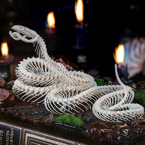 May include: An off-white snake skeleton sculpture, coiled on a base with small rocks and green moss. The background is dark with blurred candle flames. The sculpture is highly detailed.