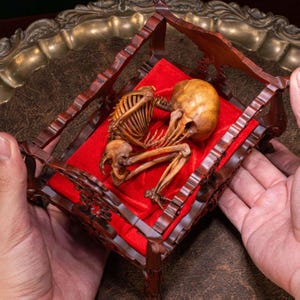 May include: A small, detailed wooden crib with a red velvet lining. A miniature skeleton is lying in the crib, curled up in a fetal position.