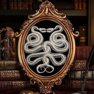 Real Snake Skeleton on Vintage Frame, Caduceus Ouroboros snake, Taxidermy Art Snake, Gothic Wall decor, Animal bones and skeletons