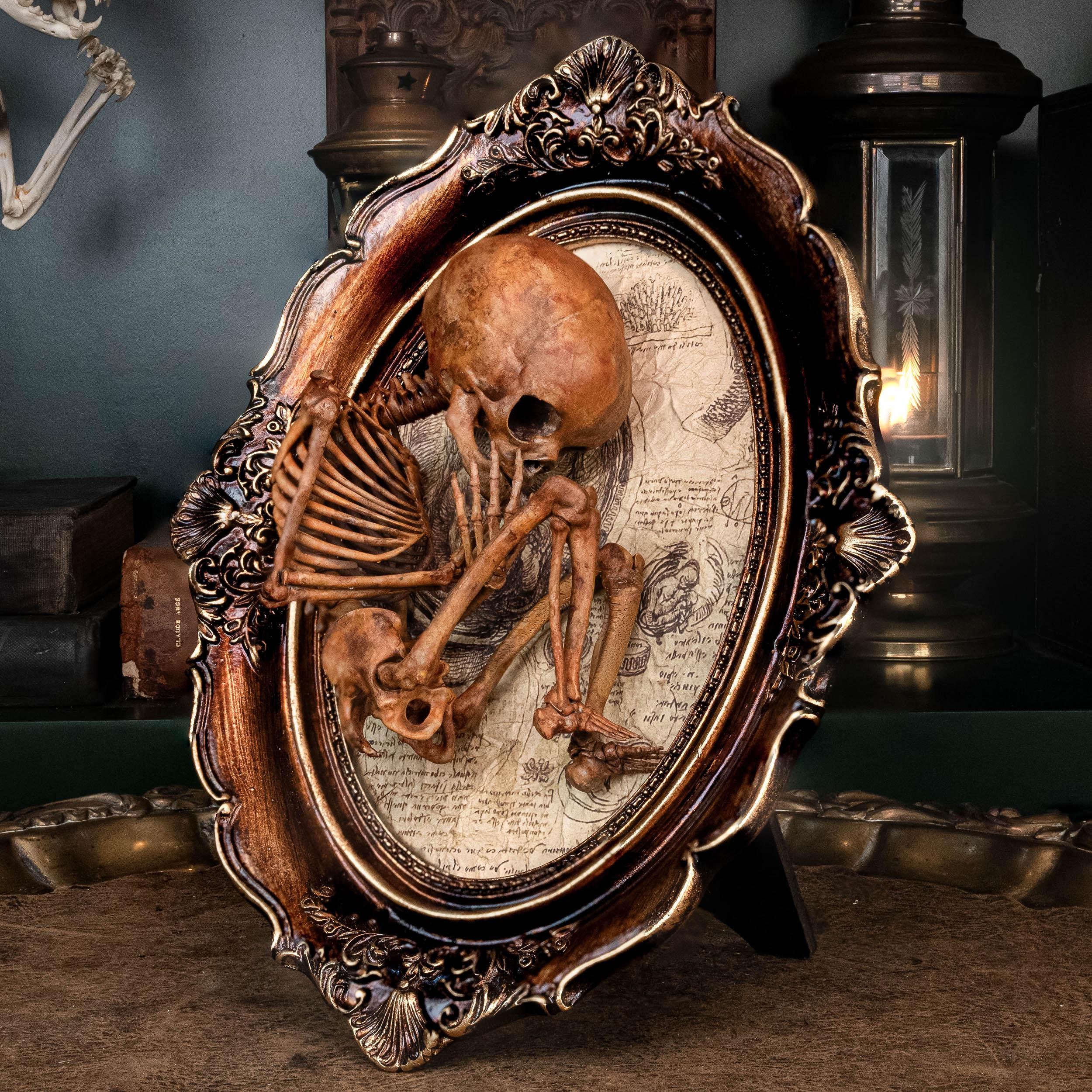 Human Baby Skeleton Fetus 3D Printed on Vintage Victorian Frame