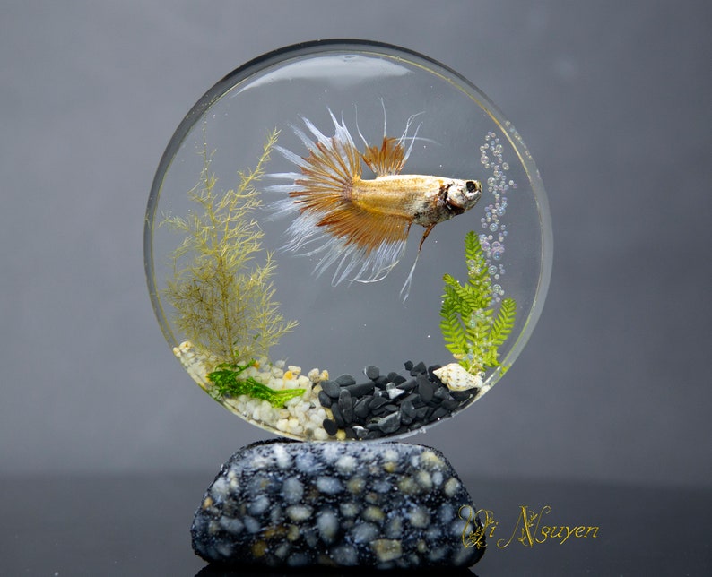 The 5 Best Resin Fish Sculpture Reviews of All Time 2