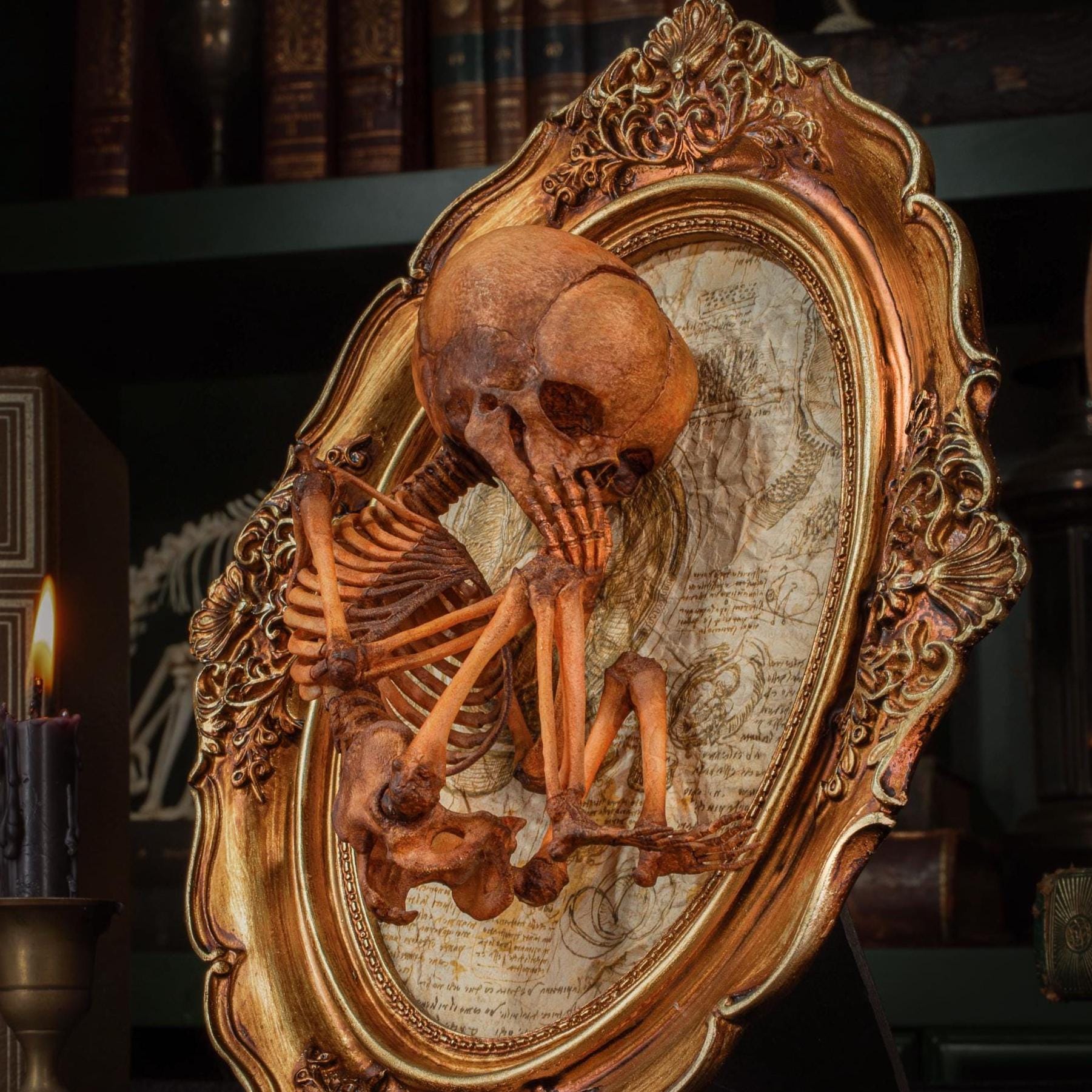 Human Fetus Skeleton Wall Art, Hand-painted 3D Printed Anatomical