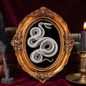 Real Snake Skeleton Taxidermy: Gothic Victorian Frame, Oddities Collector Gift