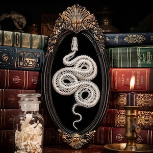 May include: A white 3D-printed snake skeleton is displayed inside an ornate black and gold oval frame. The frame is positioned among several antique books, a glass jar filled with small white bone fragments, and a lit candle in a brass holder.