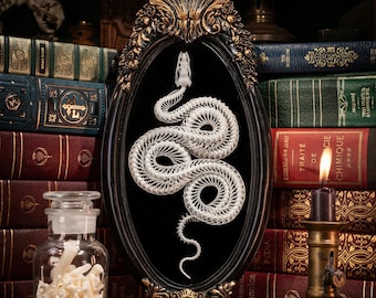 Snake Skeleton Witch Altar Decor, Real Bone Triple Coil Victorian Frame, Pagan Occult Gift