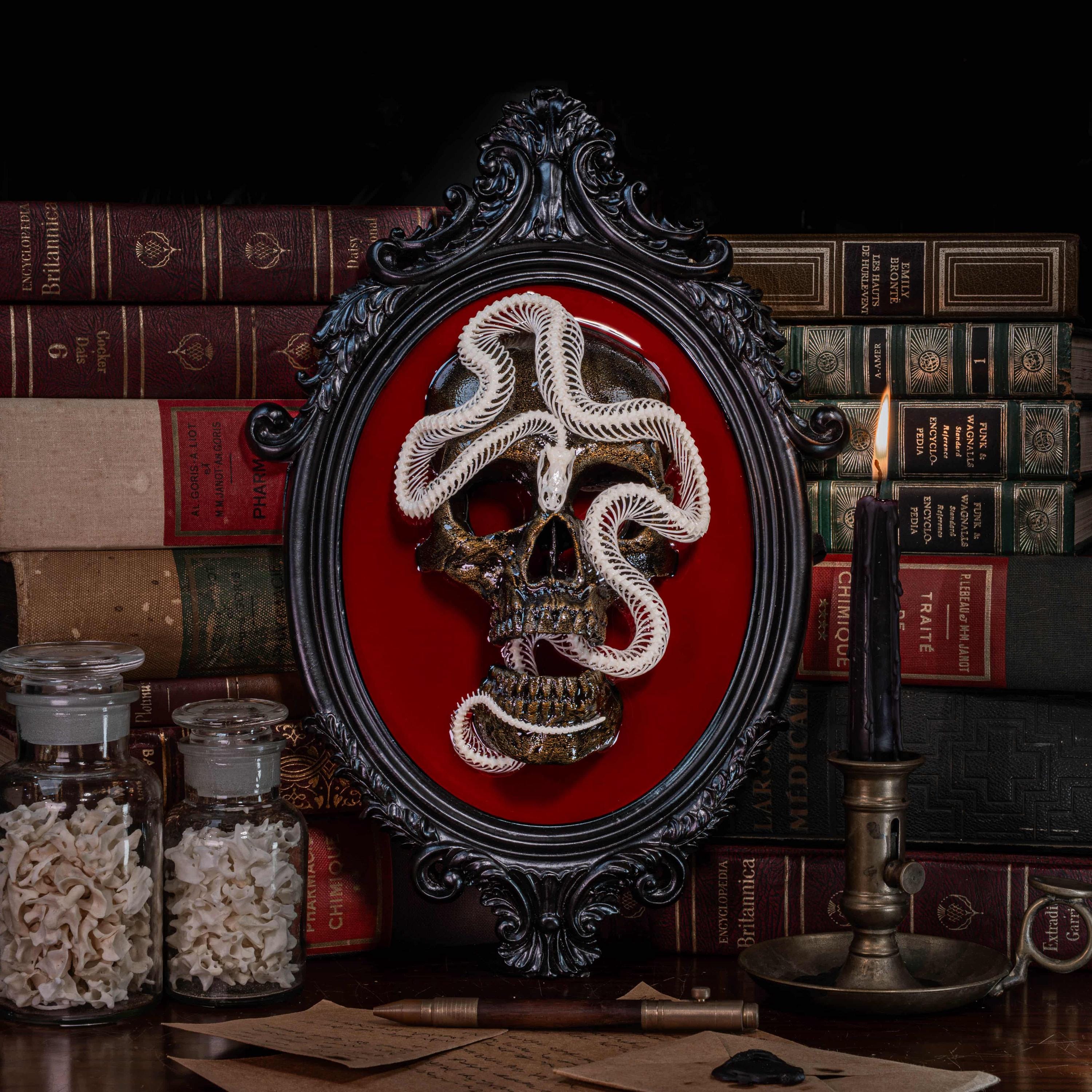 Real Snake Skeleton Art: Gothic Skull in Red Velvet Baroque Frame