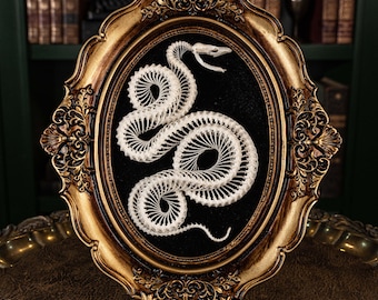 Real Snake skeleton, snake skull, snake fangs taxidermy on Gothic vintage frame