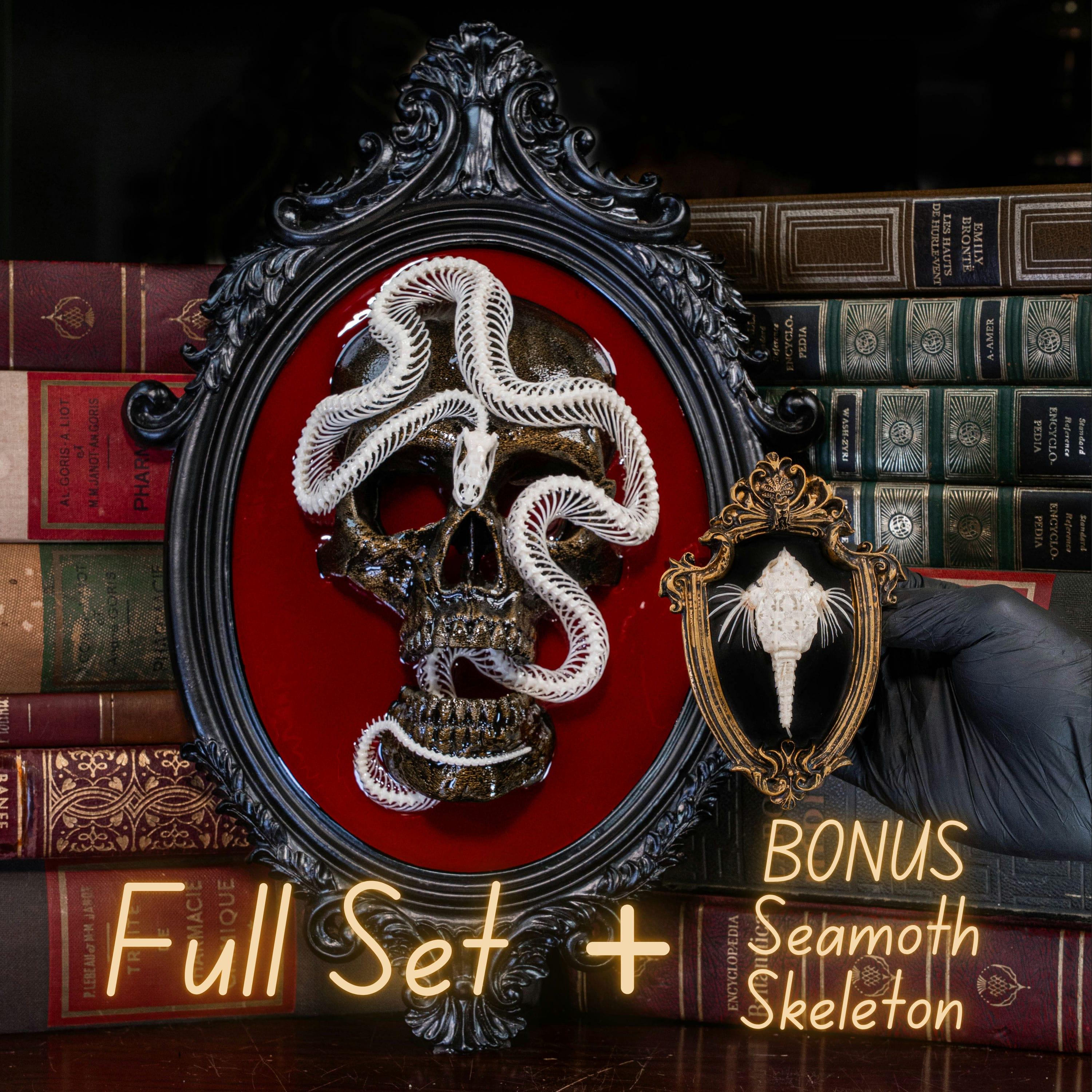 Real Snake Skeleton Art: Gothic Skull in Red Velvet Baroque Frame