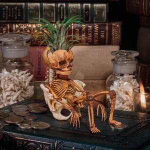 Baby Fetus Skeleton Air Pflanzenhalter 3D gedrucktes Modell fertiges Produkt, Gothic Anatomie Art, Kuriositäten Curio Decor, Dark Academia Display