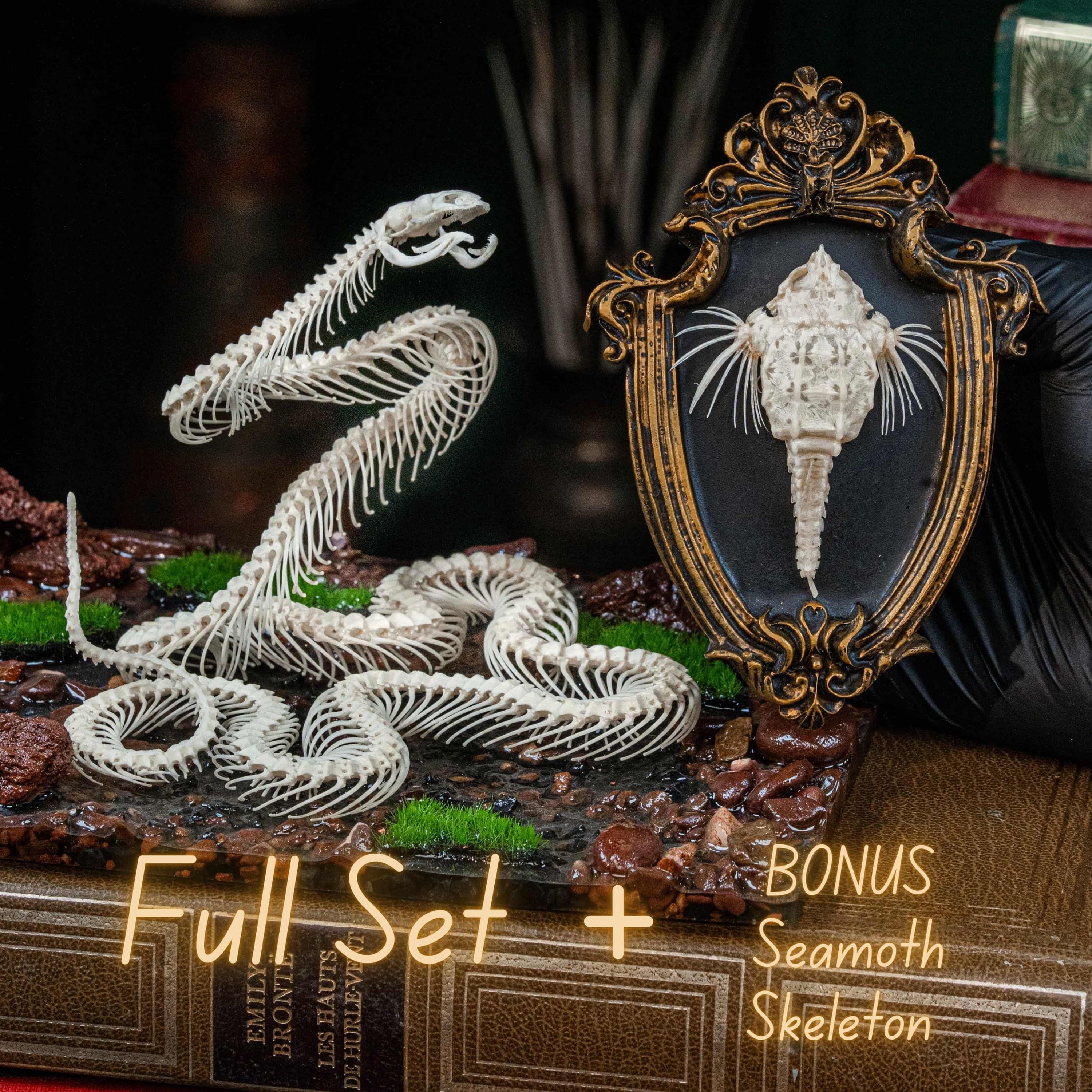 本物のヘビの骨格剥製：倫理的に調達されたゴシック魔術の装飾品