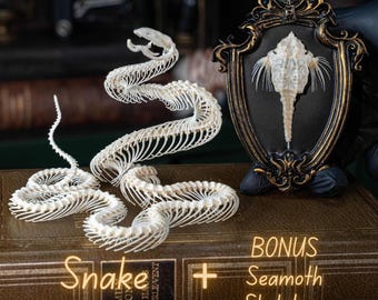 本物のヘビの骨格剥製:倫理的に調達されたゴシック魔術の装飾品 本物のヘビの骨格剥製:倫理的に調達されたゴシック魔術の装飾品