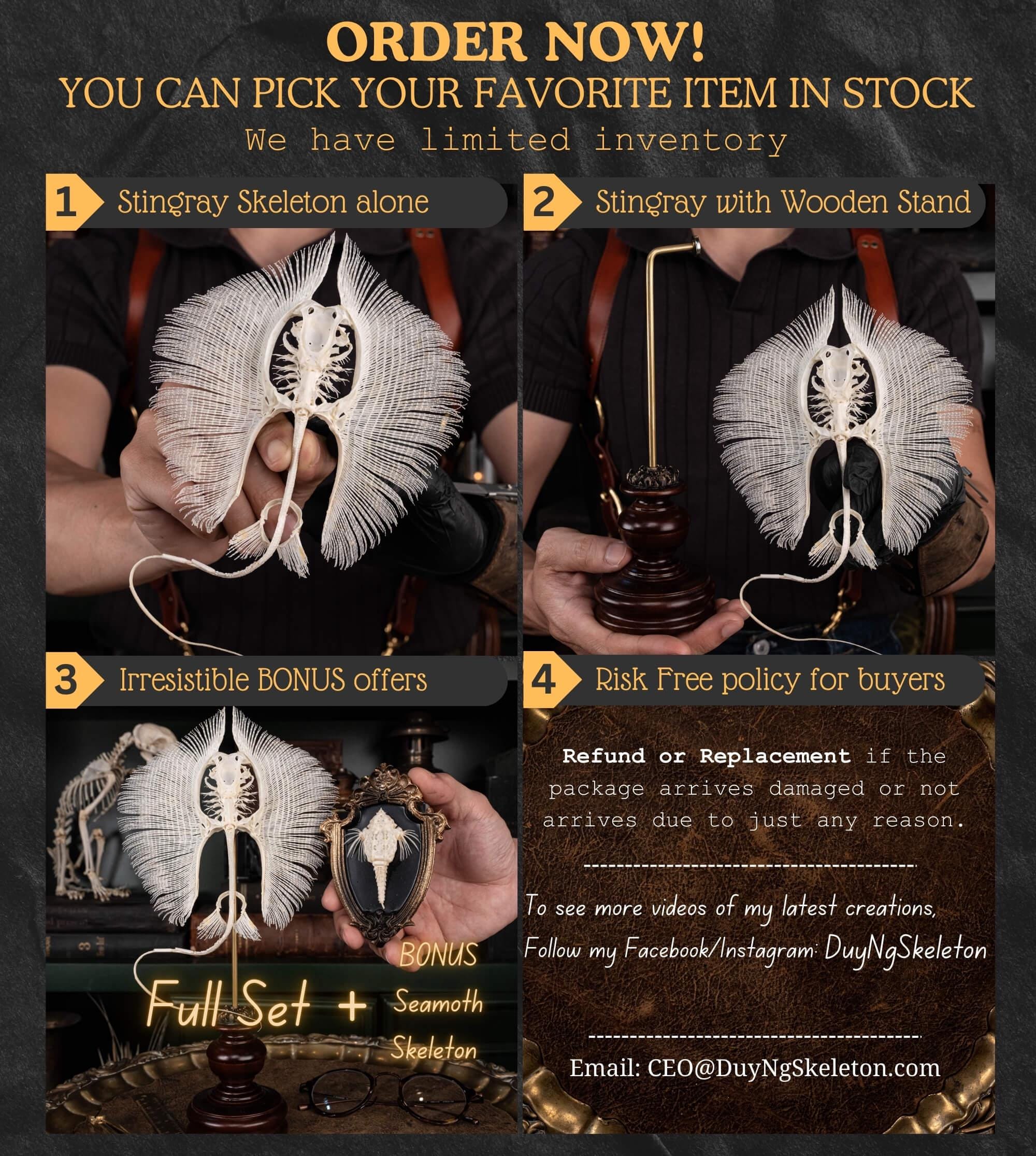 アカエイの骨格 本物の魚の剥製 | 航海ゴシック装飾、海をテーマにした