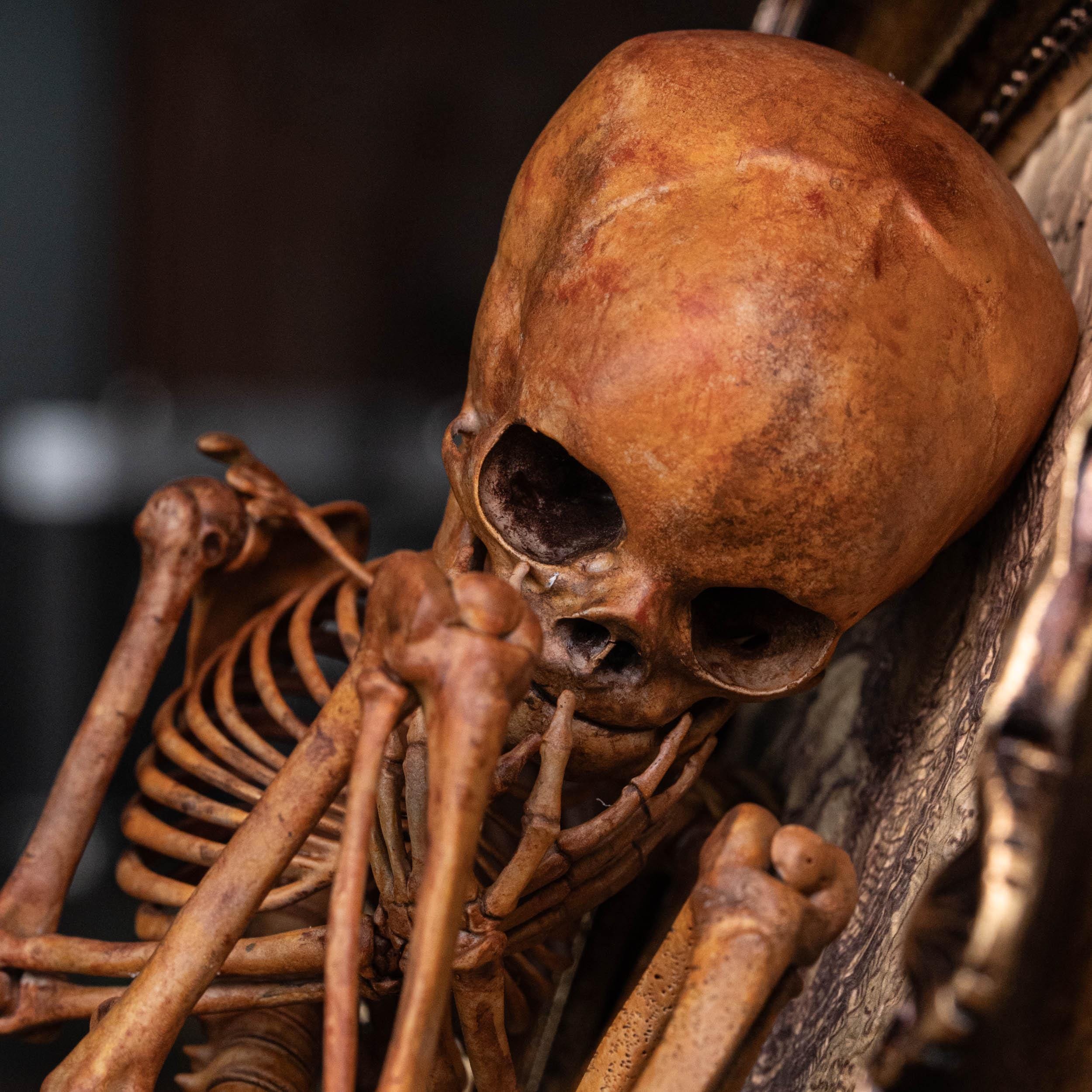 Human Baby Skeleton Fetus 3D Printed on Vintage Victorian Frame