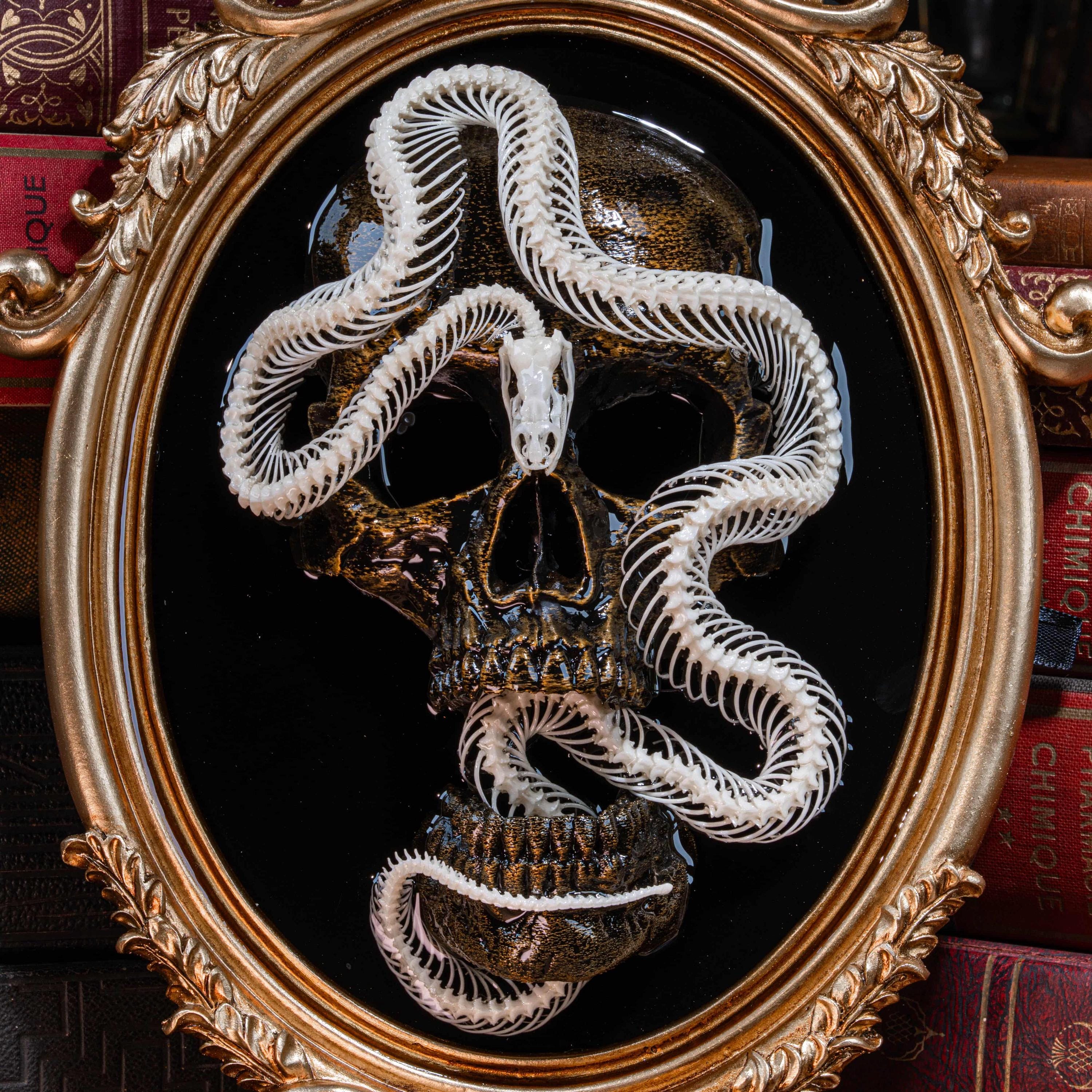 Real Snake Skeleton With Skull on Gothic Victorian Frame Taxidermy