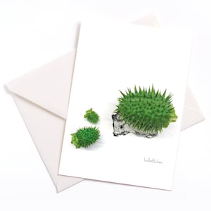 Handgemaakte geïllustreerde kaart "Hedgehog" - met kleur kern en envelop, gelegenheid kaart, coupon, verjaardag, dier motief, komkommer