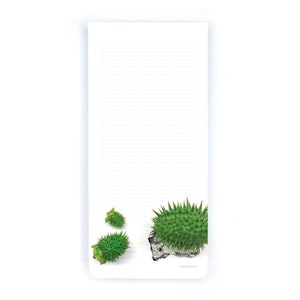 Block lang 100 Blatt - Einkaufsblock zum Essen, Notizblock, Geschenktipp, Wunschliste, Einkaufsunterstützung