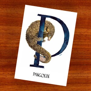 3 x ansichtkaart "P is voor Pangolin"