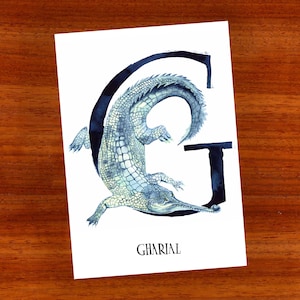 3 x ansichtkaart "G is voor Gaviaal"