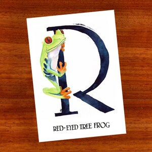3 x ansichtkaart "R is voor Red-Eyed-Tree-Frog"