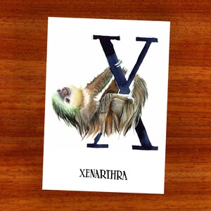 3 x ansichtkaart "X is voor Xenarthra"
