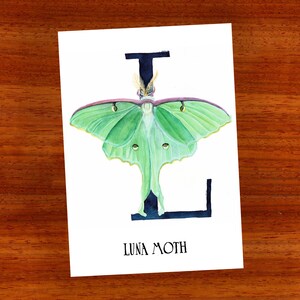 3 x cartão postal "L é para Luna Moth"