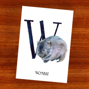 3 x cartão postal "W para Wombat"