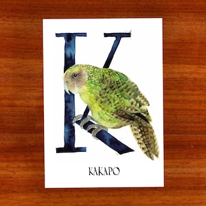 3 x cartão postal "K é para Kakapo"