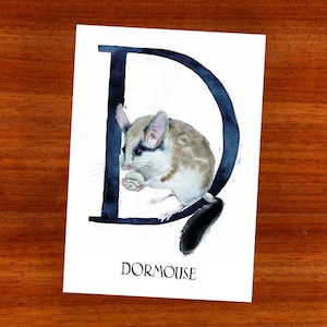 3 cartoline "D sta per Ghiro"