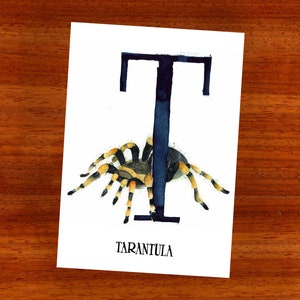 3 x ansichtkaart "T is voor Tarantula"