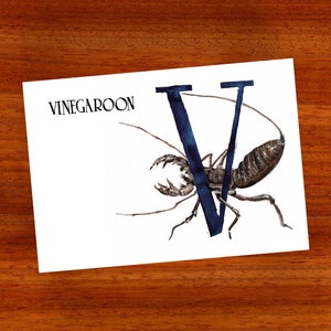 3 x postais "V de Vinagre"
