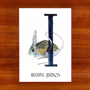 3 x ansichtkaart "Ik ben voor Iraanse Jerboa"