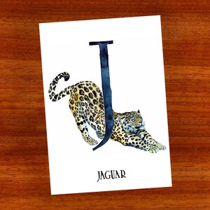3 x ansichtkaart "J is voor Jaguar"