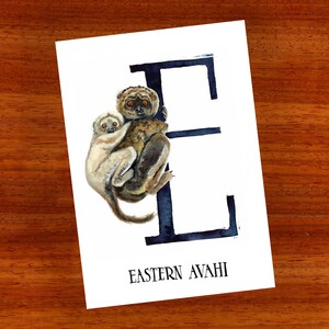 3 x ansichtkaart "E is voor Oost-Avahi"